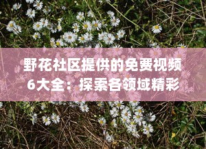 野花社区提供的免费视频6大全：探索各领域精彩内容，满足各类型观看需求