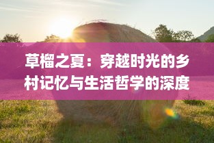 草榴之夏：穿越时光的乡村记忆与生活哲学的深度挖掘