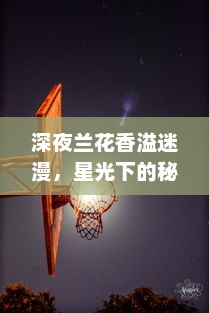 深夜兰花香溢迷漫，星光下的秘密花园 ，揭秘夜兰神秘生态与独特魅力 v8.7.9下载