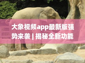 大象视频app最新版强势来袭 | 揭秘全新功能 | 更多精彩内容等你发现