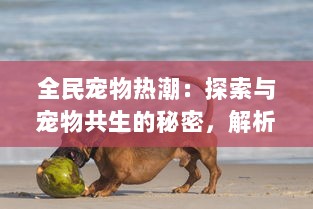 全民宠物热潮：探索与宠物共生的秘密，解析人与宠物的深厚情感纽带