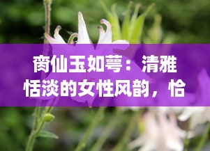 脔仙玉如萼：清雅恬淡的女性风韵，恰如白玉新莹萼初破的花瓣 v3.8.5下载