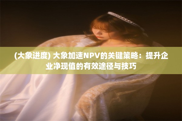 (大象进度) 大象加速NPV的关键策略：提升企业净现值的有效途径与技巧