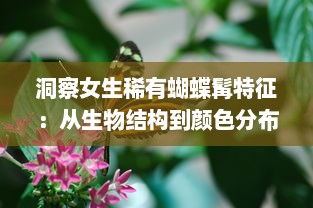 洞察女生稀有蝴蝶髯特征：从生物结构到颜色分布的详细解析 v3.8.4下载