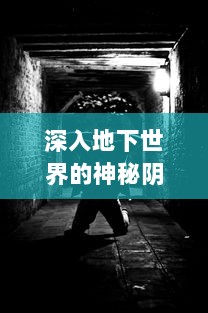 深入地下世界的神秘阴影：揭示那些被称为'代号隐'的秘密特工的真实生涯