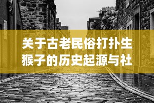 关于古老民俗打扑生猴子的历史起源与社会影响 - 农村生活的狙击者，古代农耕经济的象征 v9.8.0下载