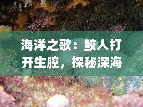 海洋之歌：鲛人打开生腔，探秘深海的未知乐章 v7.2.5下载