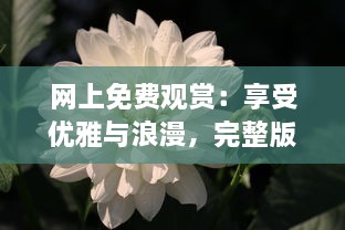 网上免费观赏：享受优雅与浪漫，完整版丁香花视频在线播放，靠近大自然的桥梁