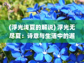 (浮光浅夏的解说) 浮光无尽夏：诗意与生活中的邂逅，思绪的漫舞与心灵的涌动