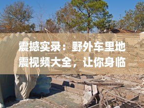 震撼实录：野外车里地震视频大全，让你身临其境体验自然界的惊心动魄 v6.9.0下载