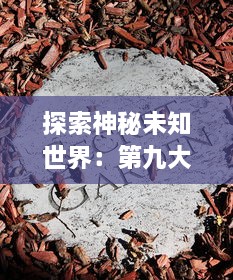 探索神秘未知世界：第九大陆手游，打造绝世角色，实现冒险之旅的终极挑战