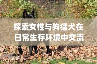 探索女性与狗猛犬在日常生存环境中交流的平衡：以实验为基础的69种独特交互视角解析 v9.2.4下载