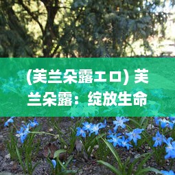 (芙兰朵露エロ) 芙兰朵露：绽放生命之美的神秘花卉，诉说无尽的浪漫与传奇