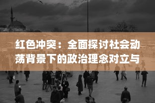 红色冲突：全面探讨社会动荡背景下的政治理念对立与和平解决之道