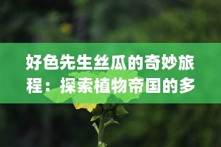 好色先生丝瓜的奇妙旅程：探索植物帝国的多彩魅力与神秘内在世界