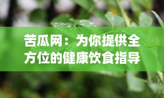 苦瓜网：为你提供全方位的健康饮食指导，助力绿色生活方式的倡导和推广