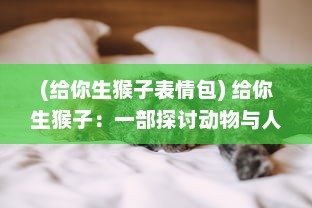 (给你生猴子表情包) 给你生猴子：一部探讨动物与人类关系、关爱与责任的深情故事