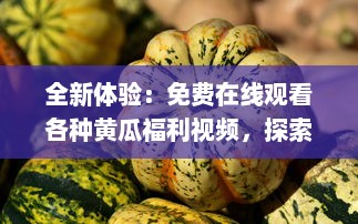 全新体验：免费在线观看各种黄瓜福利视频，探索黄瓜种植、食用及美容保健秘密