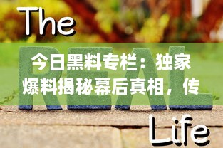 今日黑料专栏：独家爆料揭秘幕后真相，传递正能量启示生活智慧 v1.2.2下载