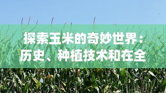 探索玉米的奇妙世界：历史、种植技术和在全球食品产业中的重要地位 v5.5.2下载