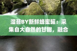 湿苔BY新鲜蜂蜜罐：采集自大自然的甘甜，融合绿色生态与健康美味的完美选择 v8.0.5下载