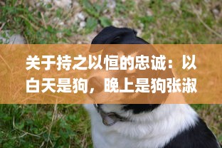 关于持之以恒的忠诚：以白天是狗，晚上是狗张淑敏为例探讨家庭犬的情感忠诚与陪伴 v6.2.3下载