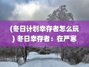 (冬日计划幸存者怎么玩) 冬日幸存者：在严寒与困境中奋力挣扎的温暖与希望之旅