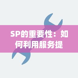 SP的重要性：如何利用服务提供商（Service Provider）有效提高业务运营效率 v3.8.6下载