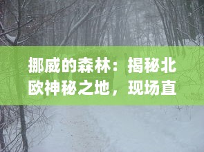 挪威的森林：揭秘北欧神秘之地，现场直击视频令人惊叹的一段片段