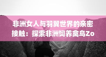 非洲女人与羽翼世界的亲密接触：探索非洲饲养禽鸟Zozo的文化与生活见闻