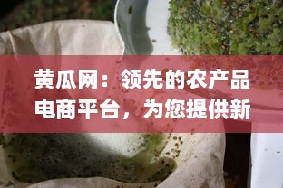 黄瓜网：领先的农产品电商平台，为您提供新鲜的黄瓜及多样化的农产品选择