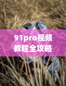 91pro视频教程全攻略：揭秘如何高效利用91pro视频工具，提升创作水平 详细解析 v4.2.4下载