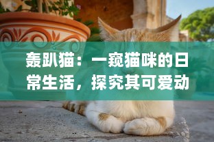 轰趴猫：一窥猫咪的日常生活，探究其可爱动作背后隐藏的科学奥秘 v8.5.7下载