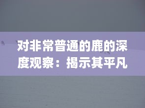 对非常普通的鹿的深度观察：揭示其平凡背后的独特生命力与环境适应性