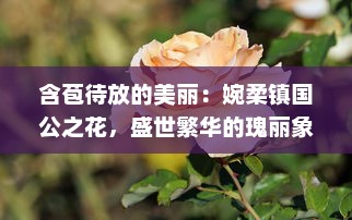 含苞待放的美丽：婉柔镇国公之花，盛世繁华的瑰丽象征 v4.7.8下载