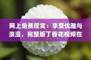 网上免费观赏：享受优雅与浪漫，完整版丁香花视频在线播放，靠近大自然的桥梁 v1.5.2下载