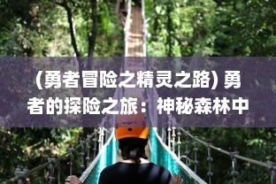 (勇者冒险之精灵之路) 勇者的探险之旅：神秘森林中的精灵奇遇与邪恶暗黑力量的对决