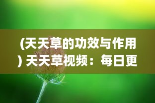 (天天草的功效与作用) 天天草视频：每日更新的高清影视内容，打造您的专属视听享受