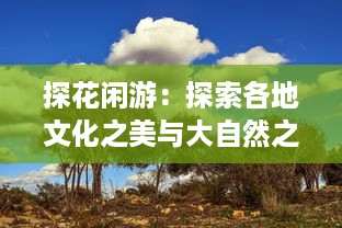 探花闲游：探索各地文化之美与大自然之秘的深度游记 v6.5.6下载