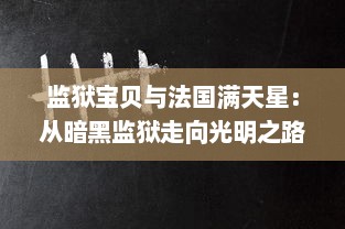 监狱宝贝与法国满天星：从暗黑监狱走向光明之路的感人故事 v0.2.0下载