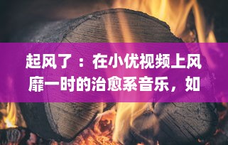 起风了 ：在小优视频上风靡一时的治愈系音乐，如何成为温暖人心的力量 v3.2.8下载