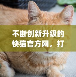 不断创新升级的快猫官方网，打造全新体验的资讯、影视、游戏一站式服务平台 v6.9.6下载