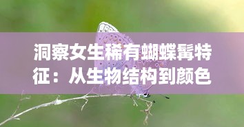 洞察女生稀有蝴蝶髯特征：从生物结构到颜色分布的详细解析 v2.3.8下载