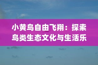 小黄鸟自由飞翔：探索鸟类生态文化与生活乐趣的品质生活之旅 v9.9.3下载