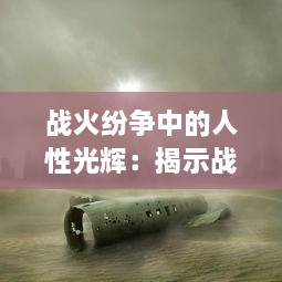 战火纷争中的人性光辉：揭示战争背后无尽苍凉与温暖并存的生命力量