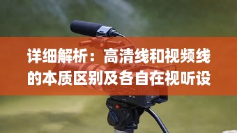 详细解析：高清线和视频线的本质区别及各自在视听设备中的应用性能对比 v1.8.6下载