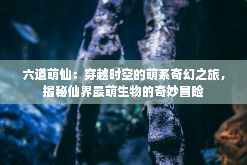 六道萌仙：穿越时空的萌系奇幻之旅，揭秘仙界最萌生物的奇妙冒险