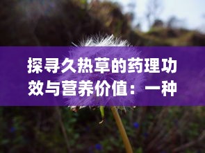 探寻久热草的药理功效与营养价值：一种潜力无穷的草本植物资源 v6.9.2下载