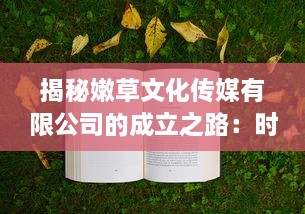 揭秘嫩草文化传媒有限公司的成立之路：时间、历程与未来发展展望