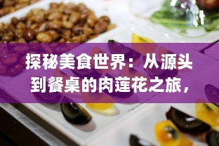 探秘美食世界：从源头到餐桌的肉莲花之旅，一段揭示中国传统烹饪艺术的美味探索